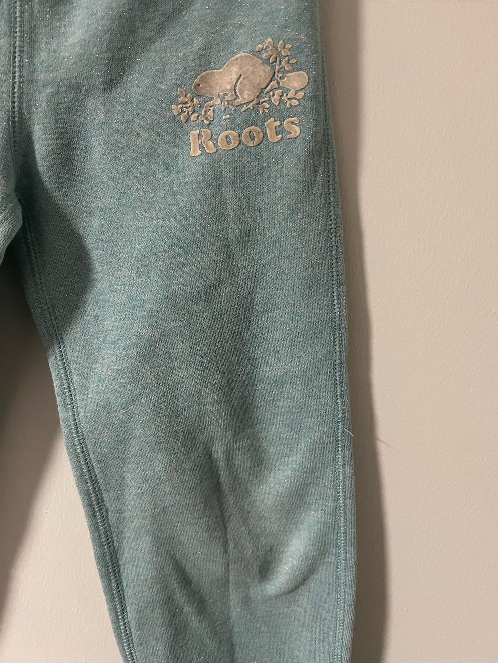Sparkly Roots Sweatpants - Picture 3 of 5